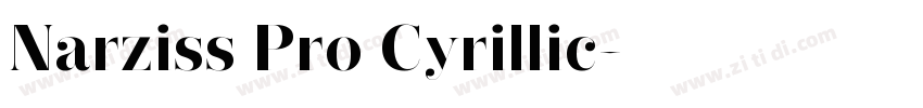 Narziss Pro Cyrillic字体转换